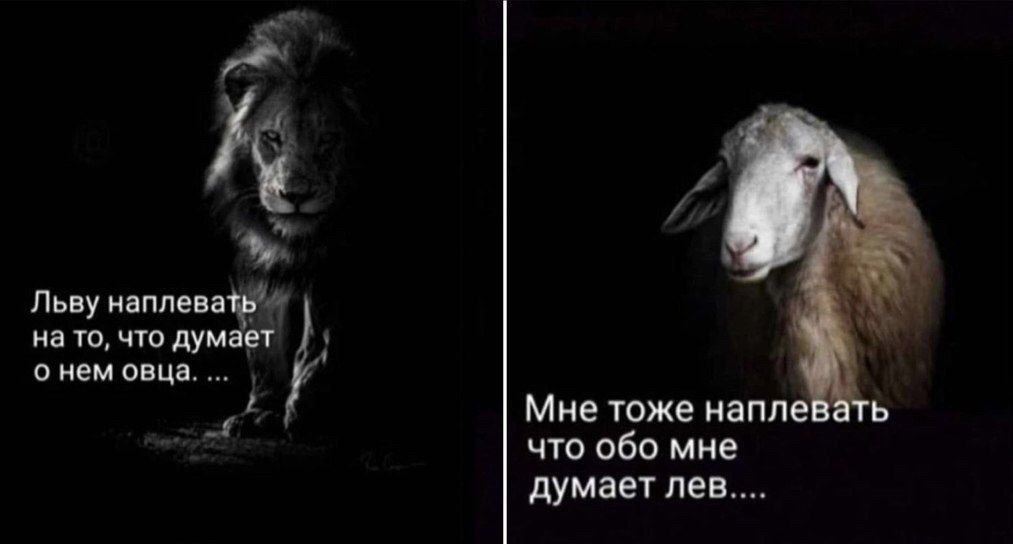 1766676109557.png