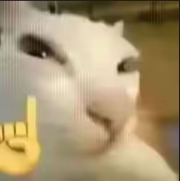 1766688934850.png