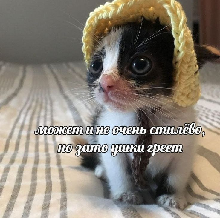 1766908854935.png