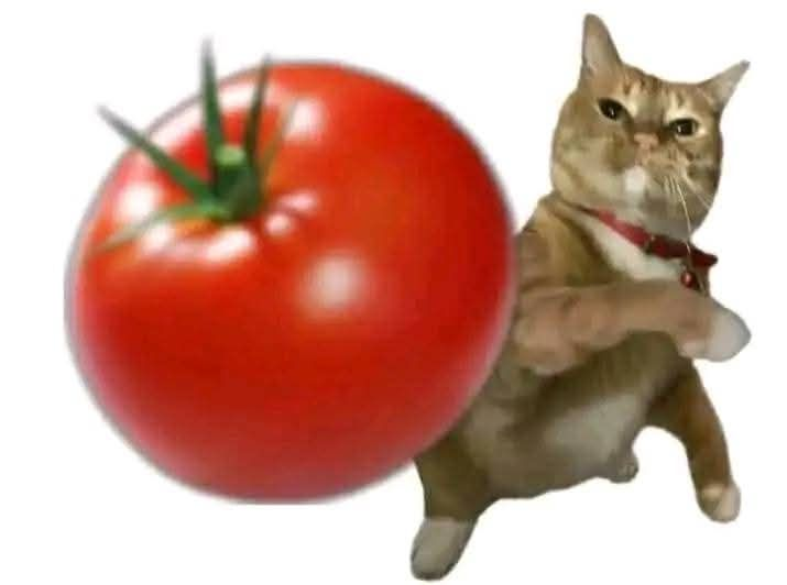 1767019391271.png