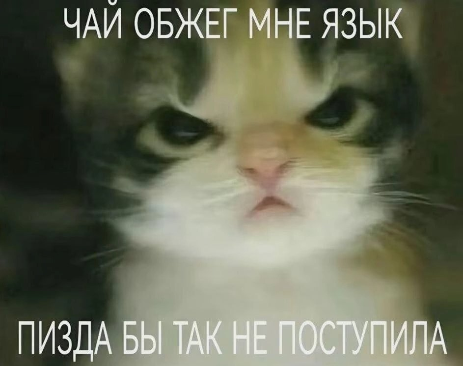 1767110971720.png