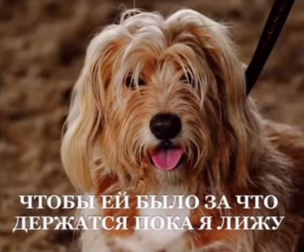 1767456963765.png