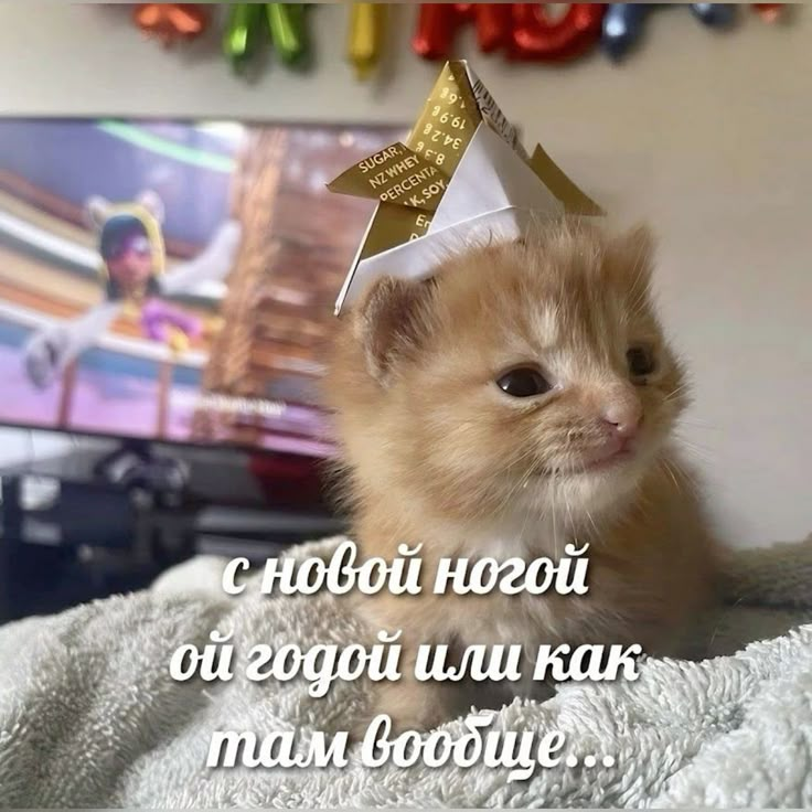 1767458462501.png