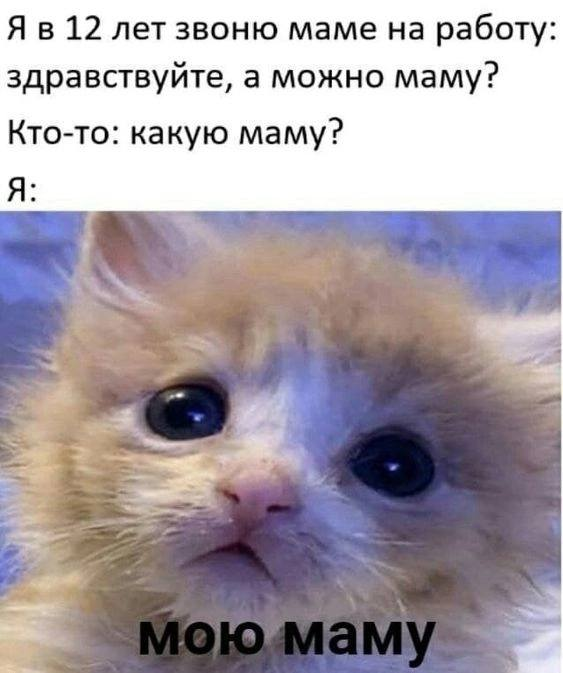 1767595027663.png