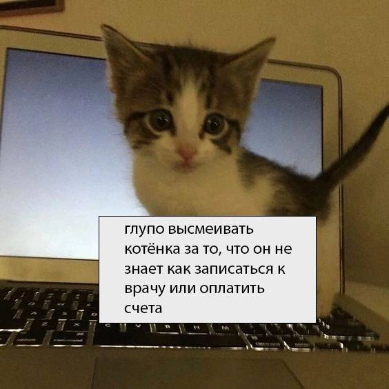 1767595086361.png