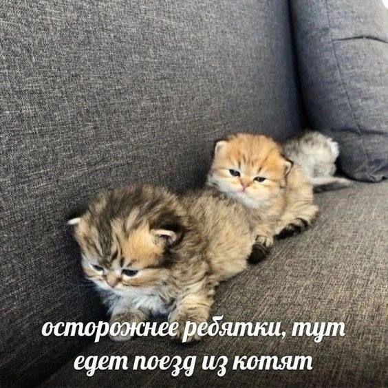 1767595099279.png
