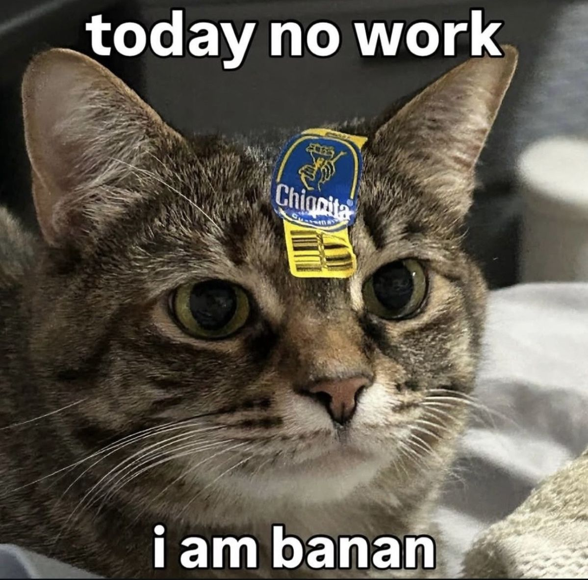 1767715476822.png