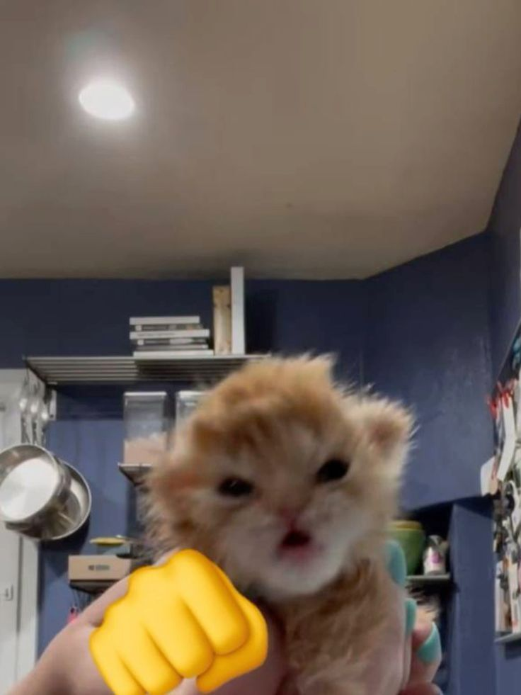 1767770283515.png