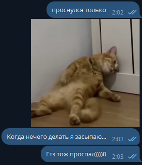 1767830042500.png