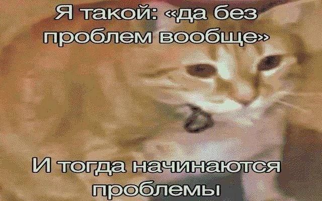 1768317481894.png