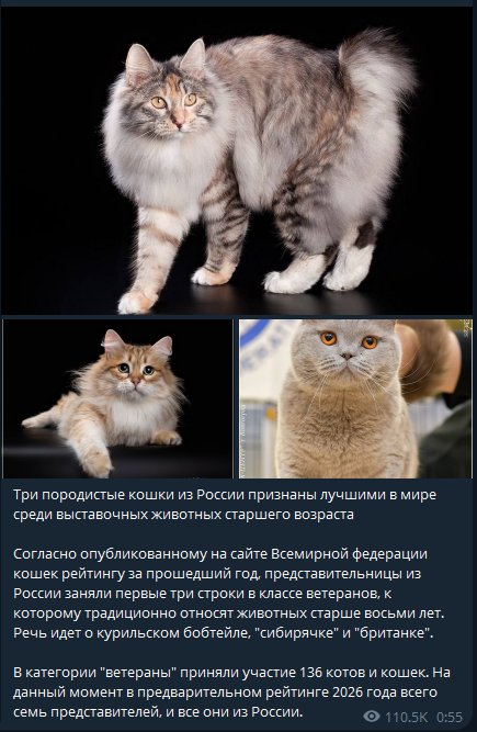 1768328626316.png