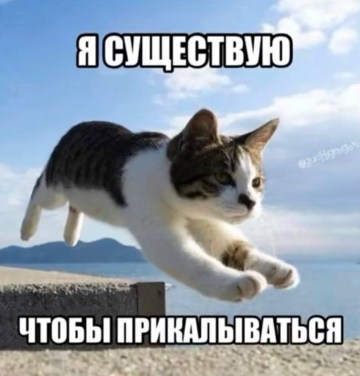1768509151270.png