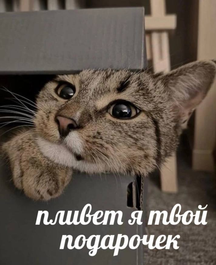 1768719354524.png