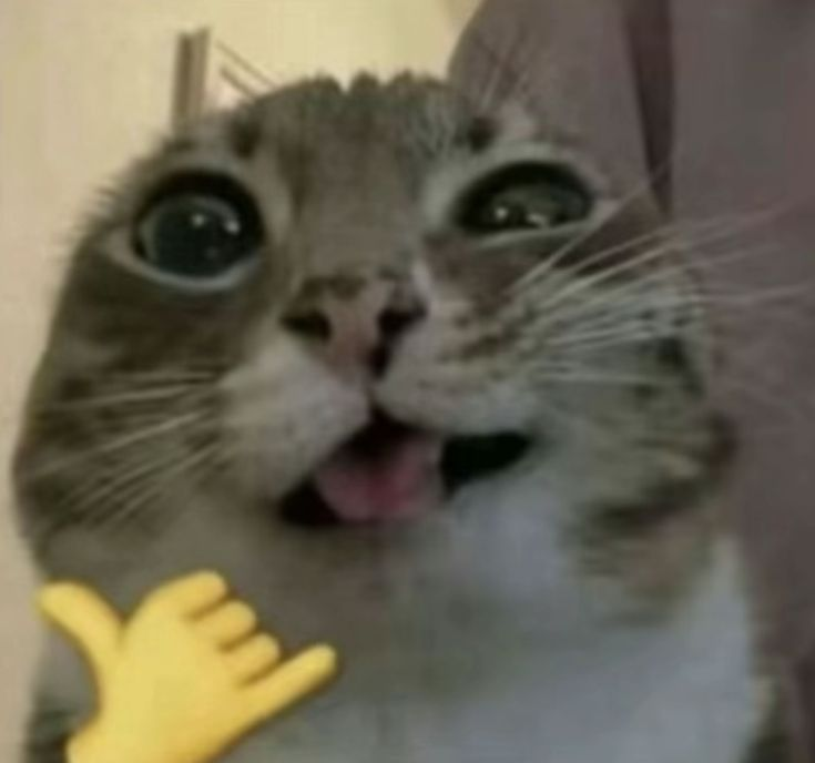1768733257088.png