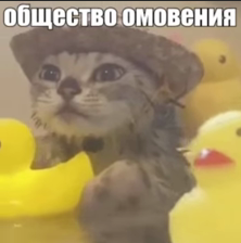 1768859337764.png
