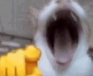 1769202977298.png