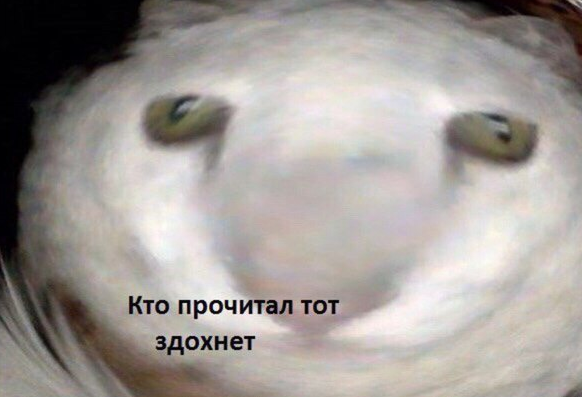 1769329129762.png