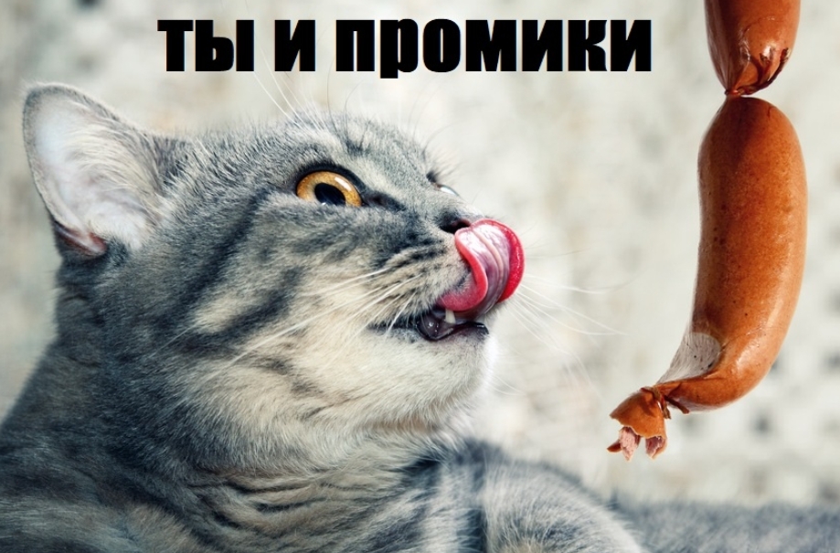1769451354758.jpeg