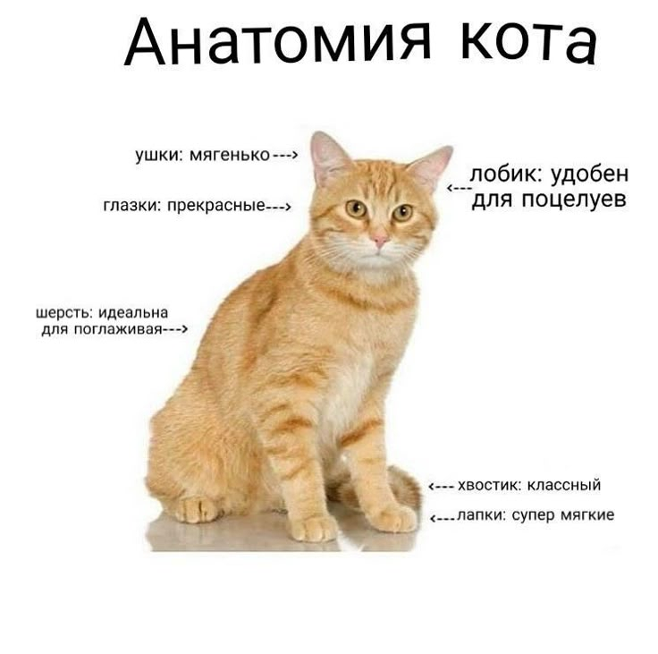 1769678682770.png