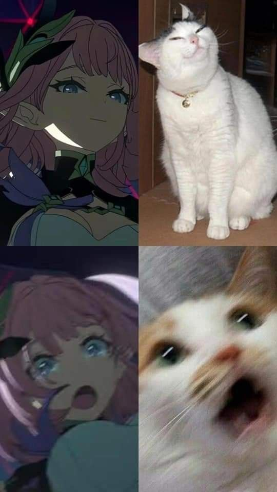1769765360939.png