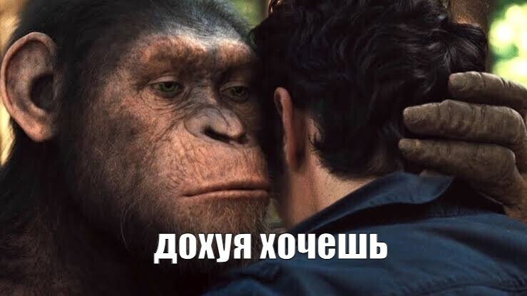 1769940937373.png