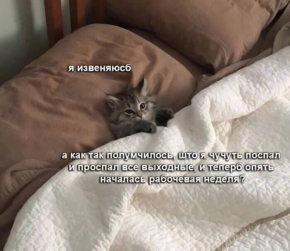 1770012732112.png