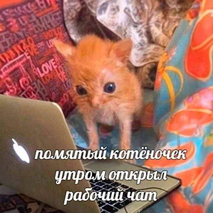 1770099770838.png