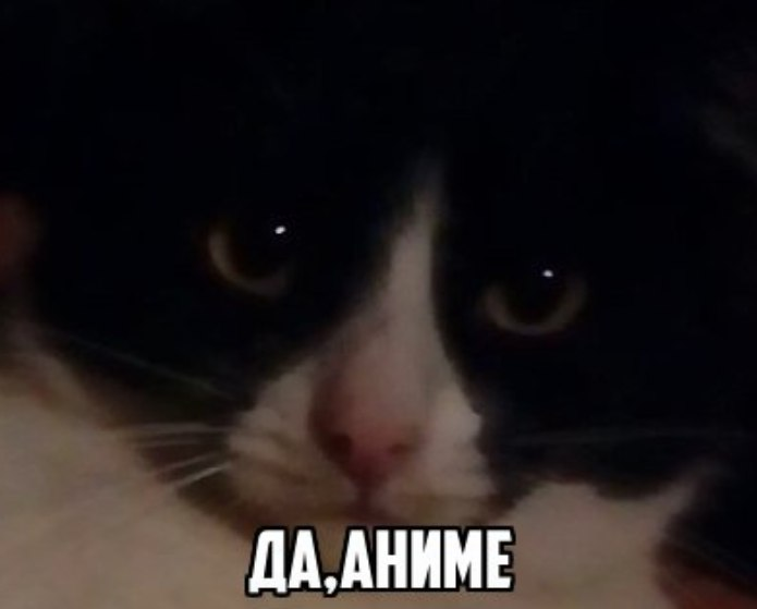 1770137929455.png