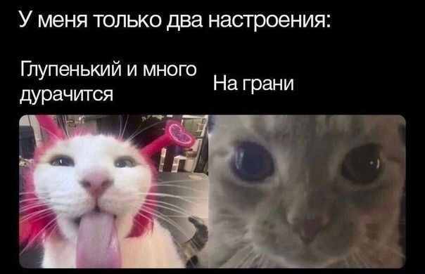 1770138369080.png