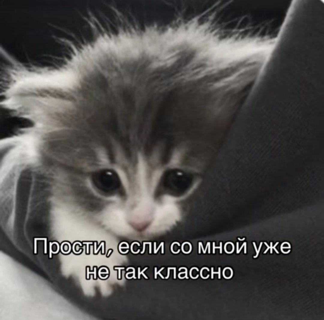 1770217447396.png