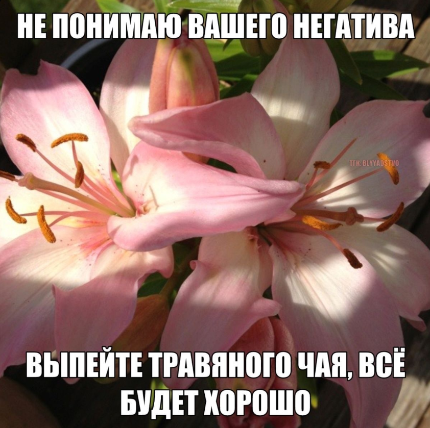1770303548630.png