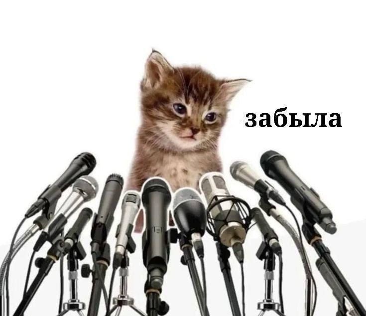 1770570270203.png