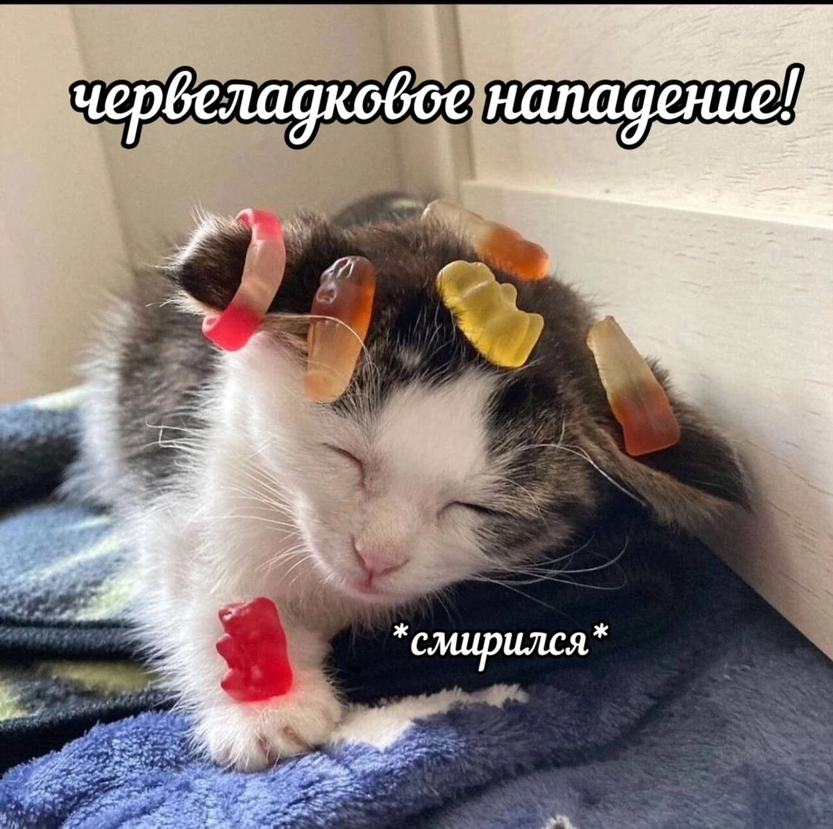 1770797253644.jpeg
