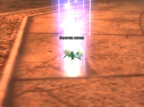1770844962938.png