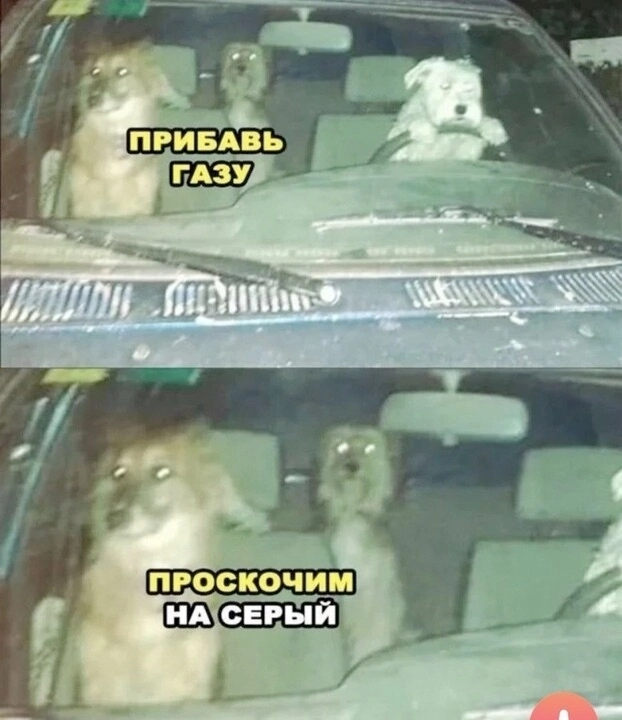 1770924598639.png