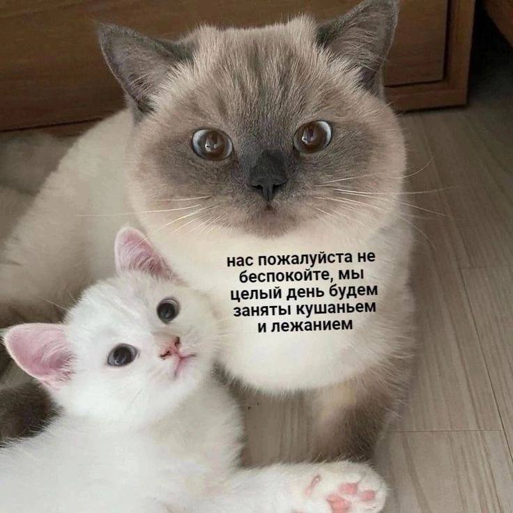 1771135709470.png