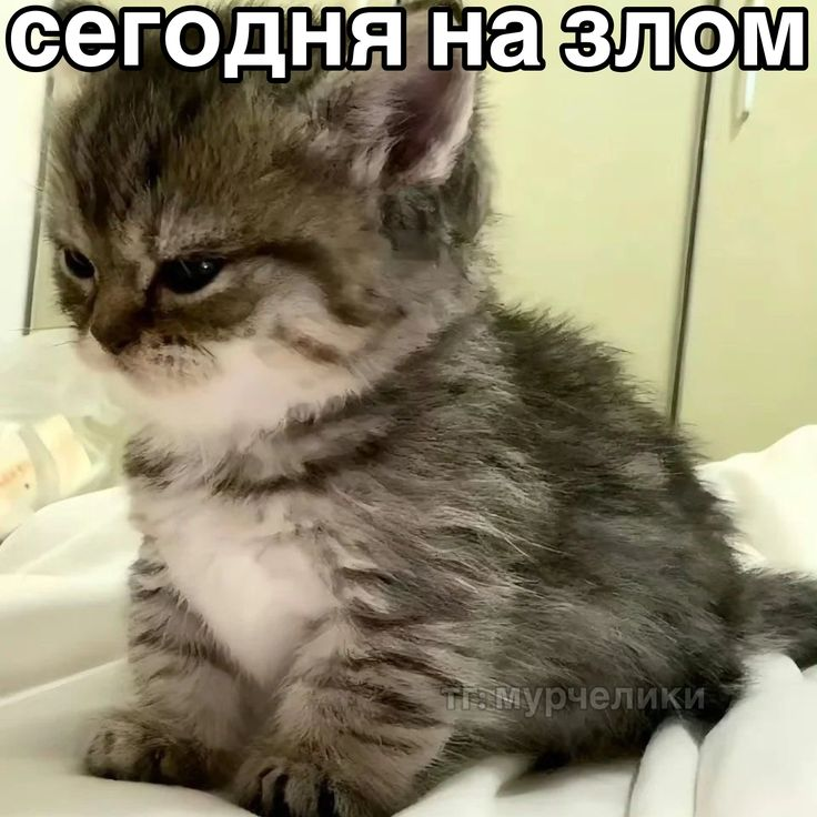 1771353282892.png