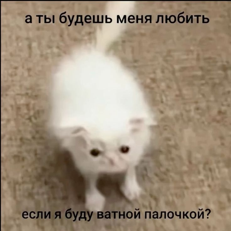 1771355012636.png