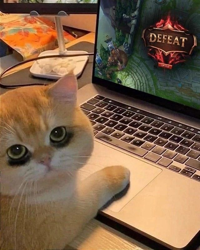 1771355606507.png