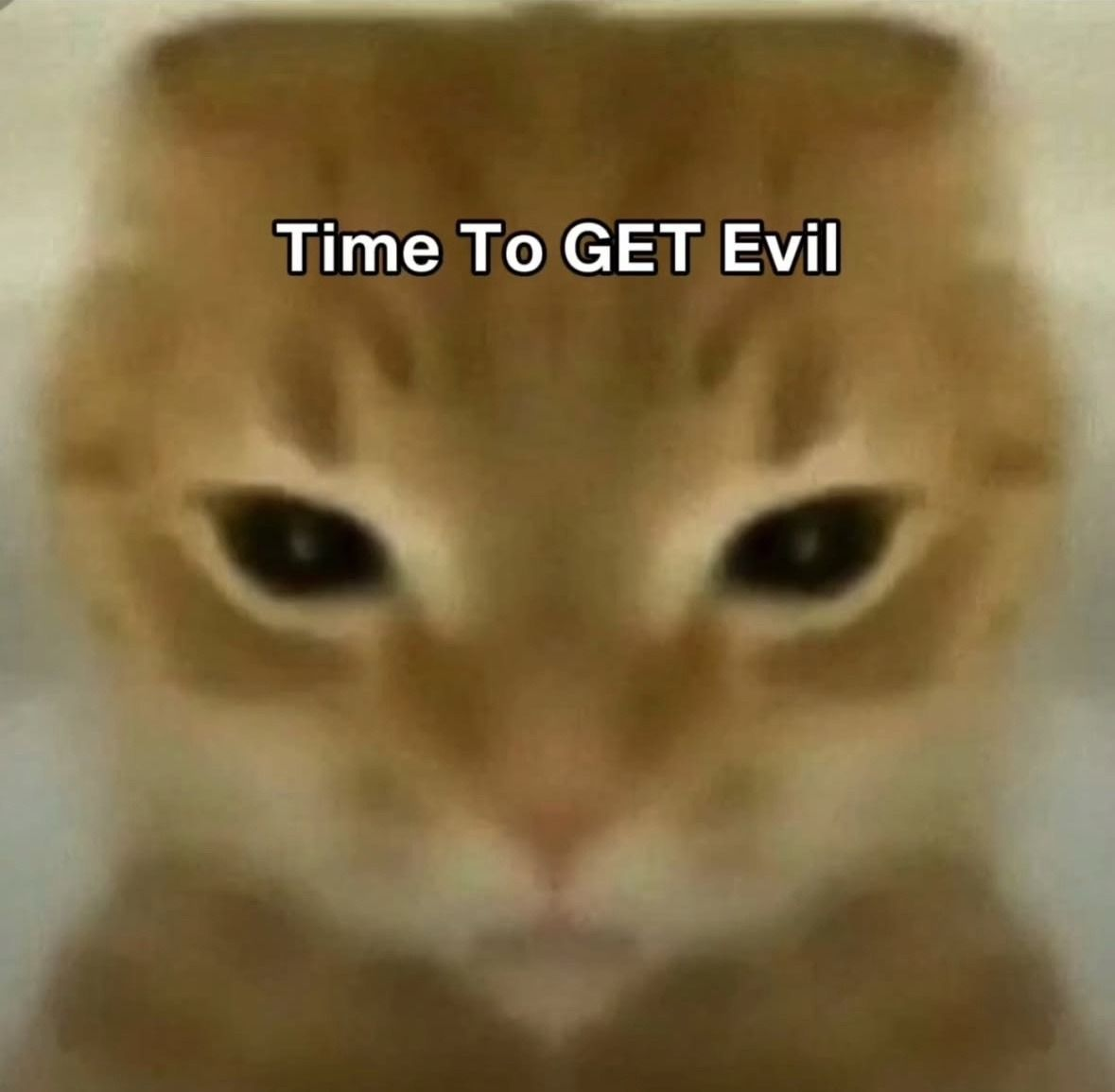 1771355971500.png
