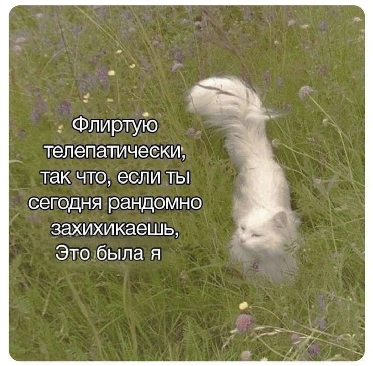 1771414769954.png