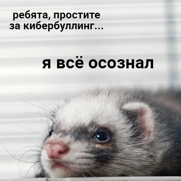 1771421047093.png