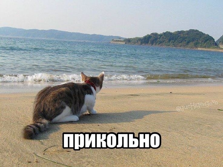 1771764625865.png