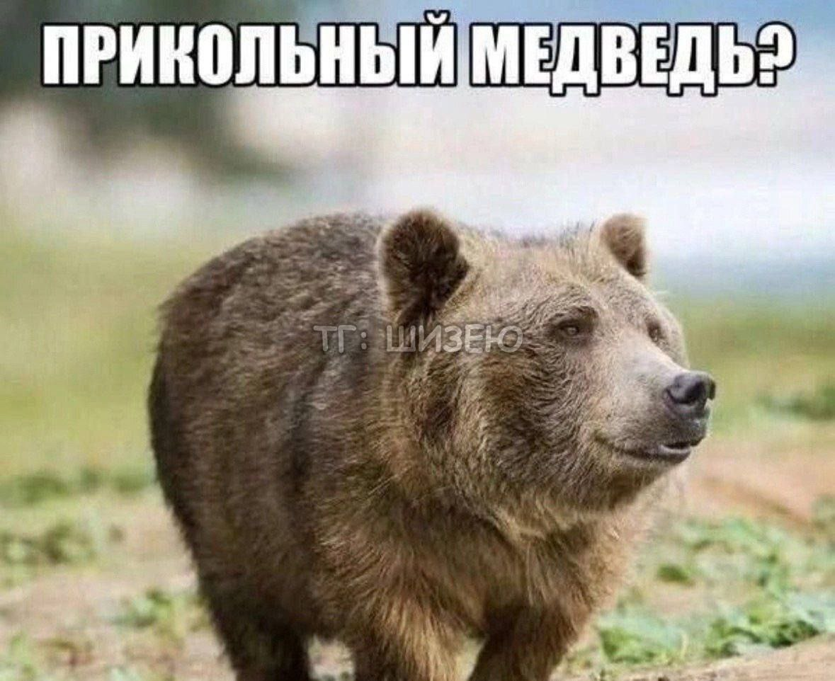 1771796381524.png
