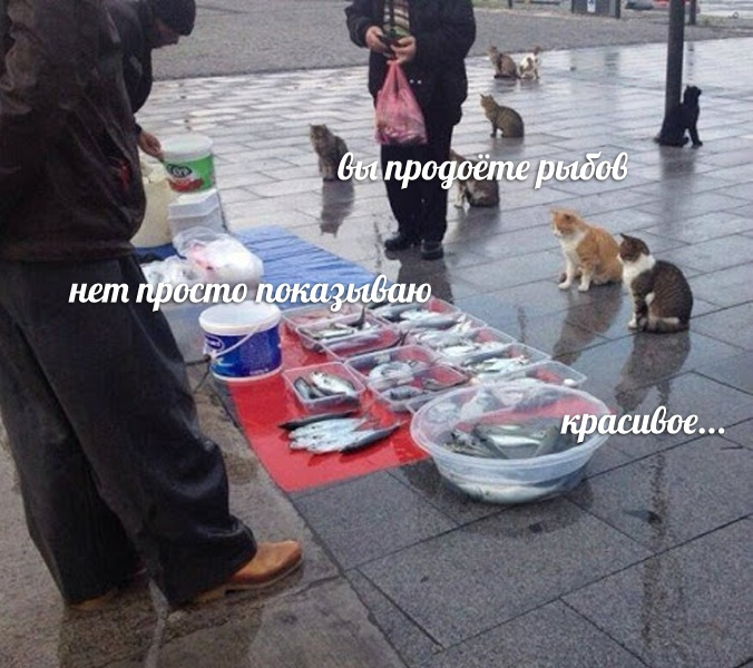 1771851267349.png