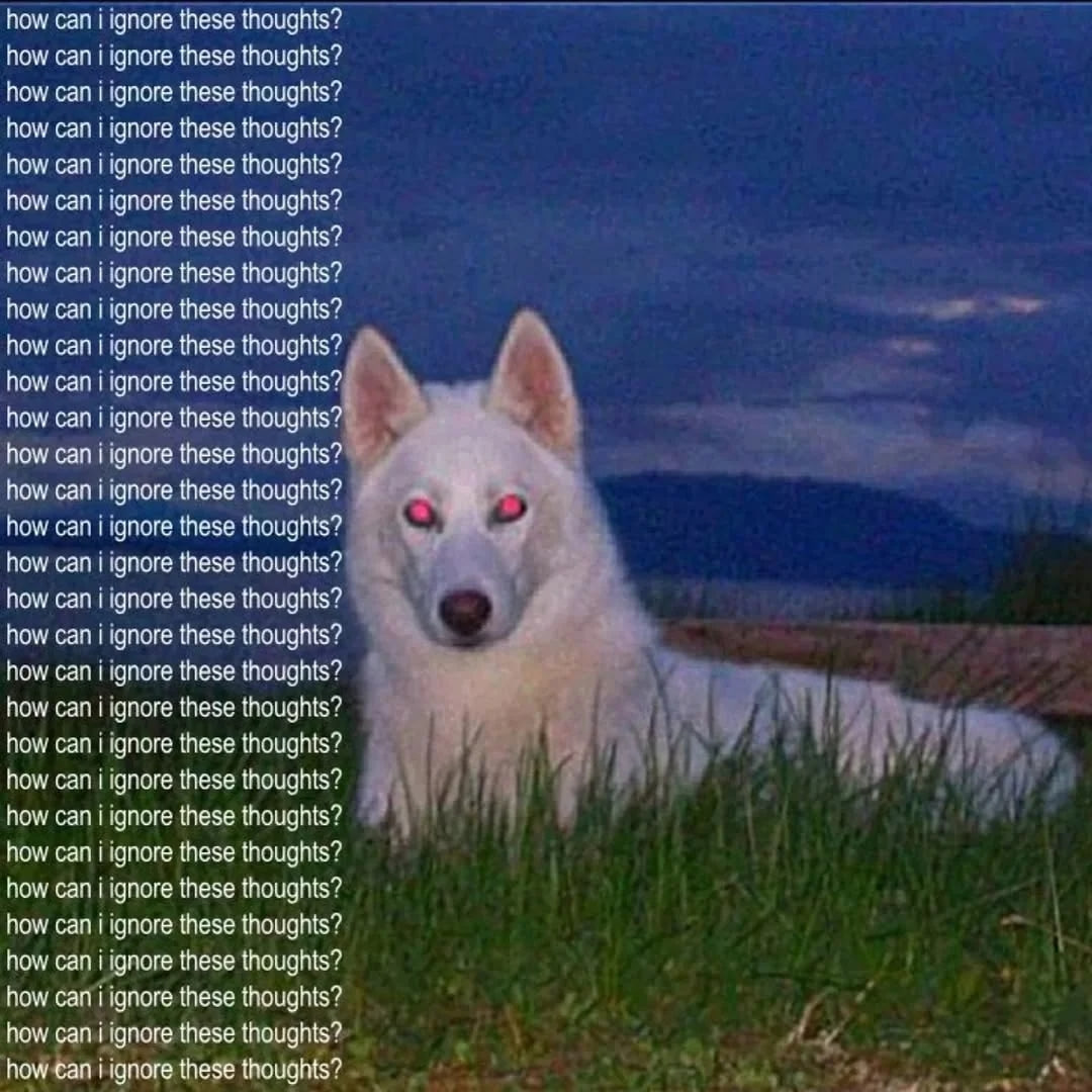 1771875866509.png
