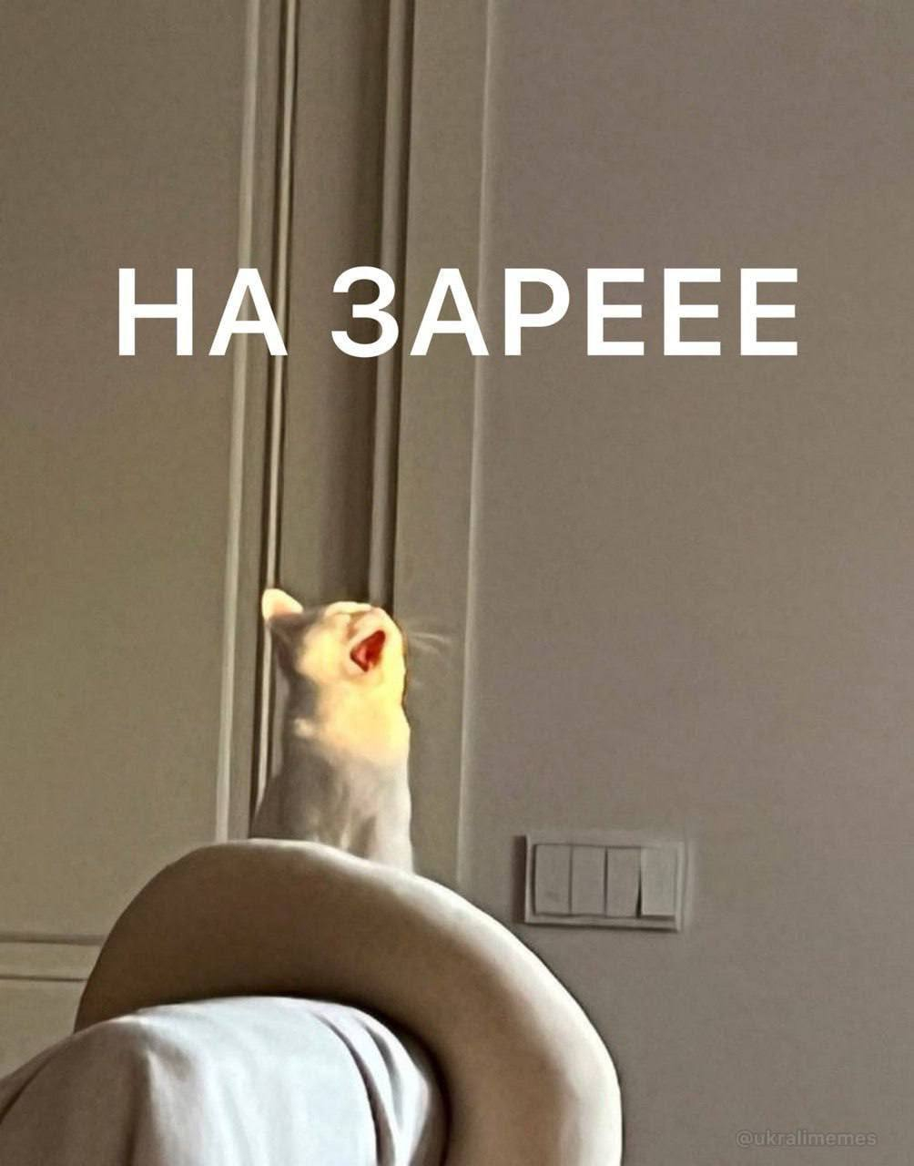 1772010145092.png