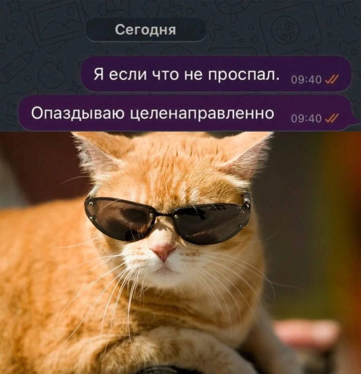 1772011568031.png