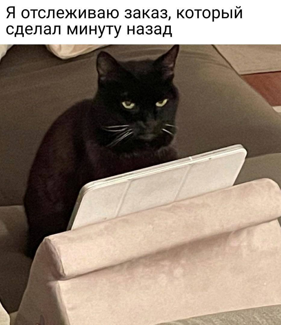 1772016845716.png