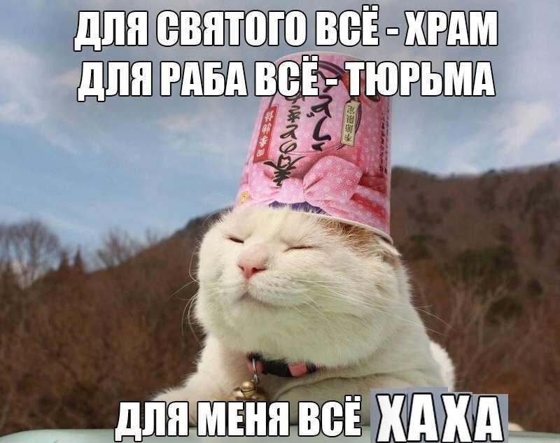 1772017034123.png